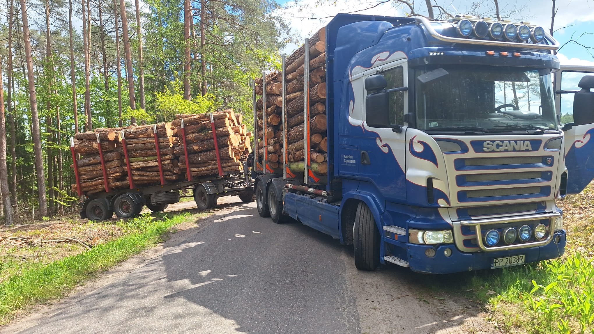 Drewno piła i okolice