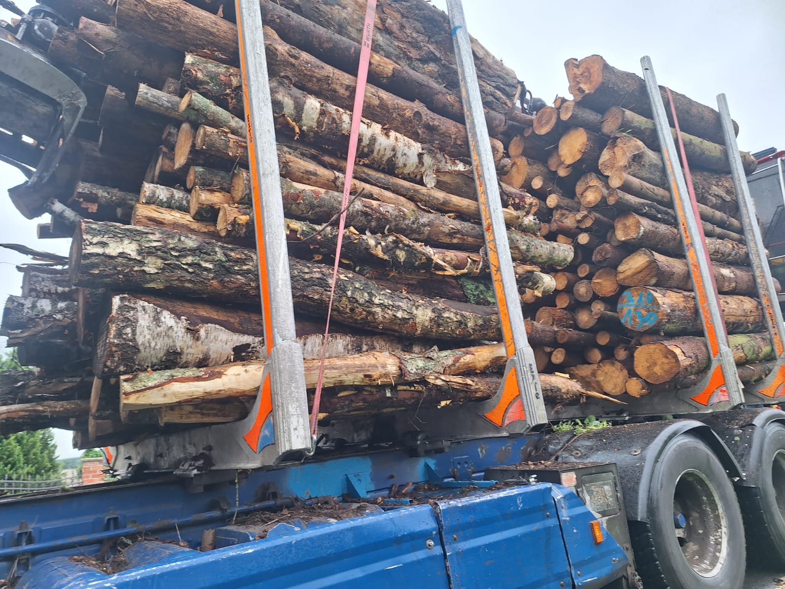Drewno piła i okolice