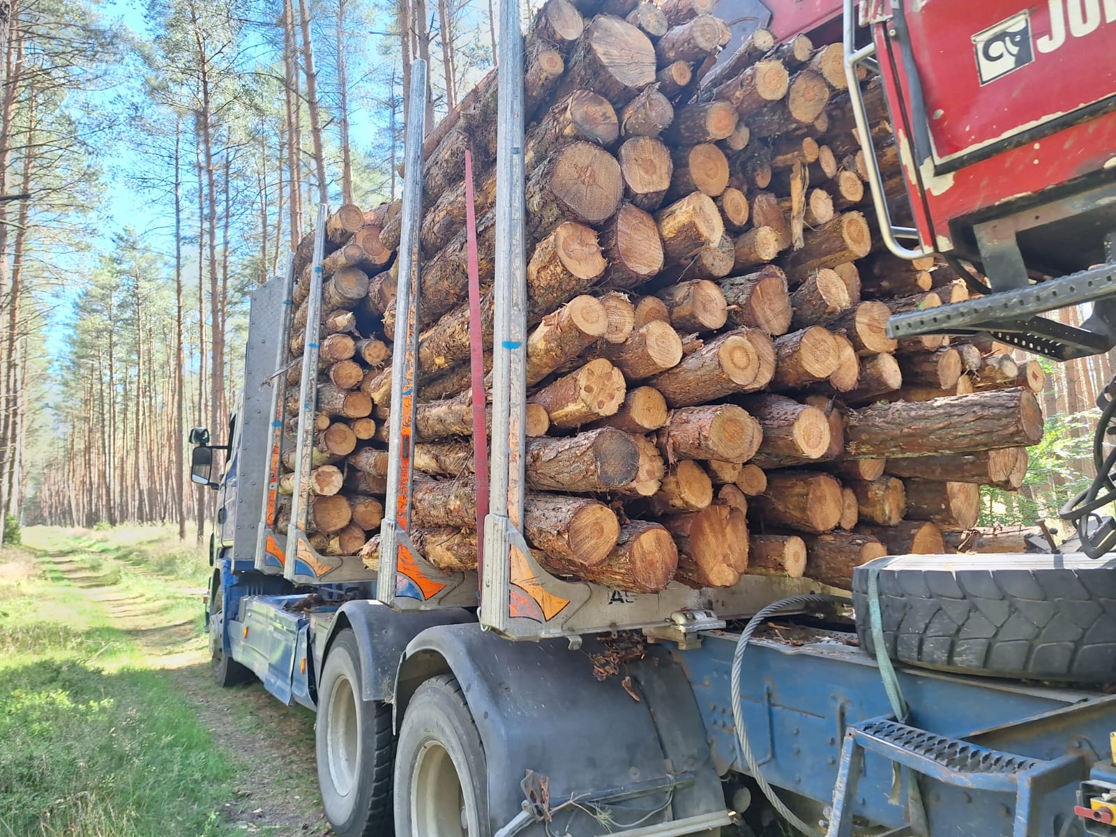 Drewno piła i okolice
