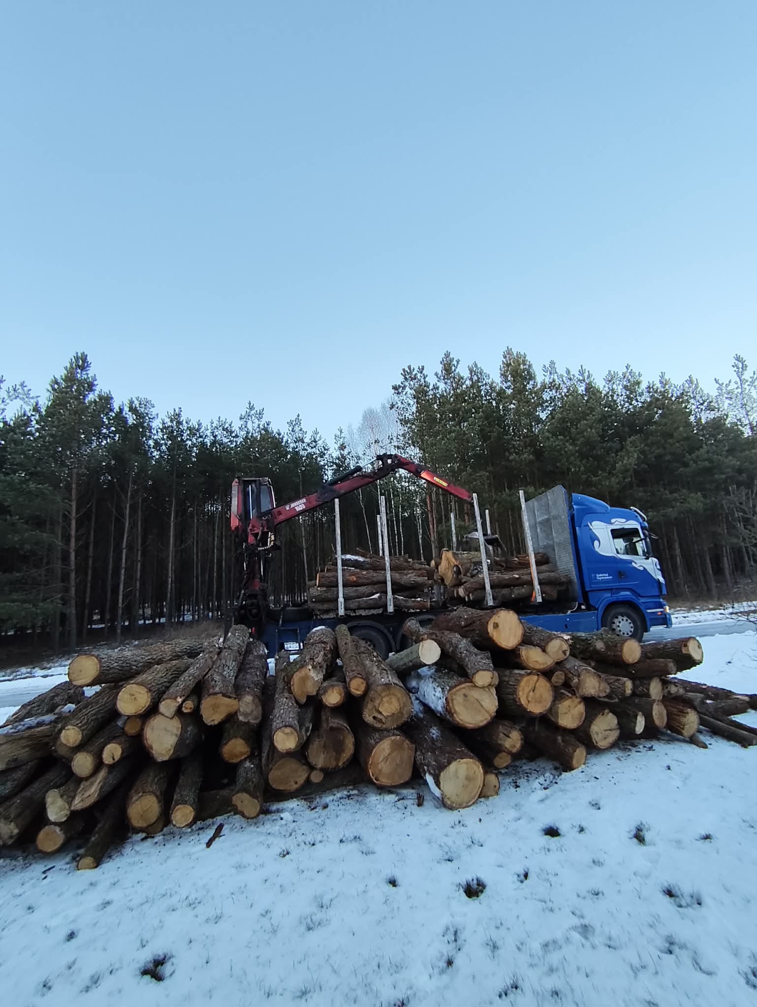 Drewno transport PIŁA